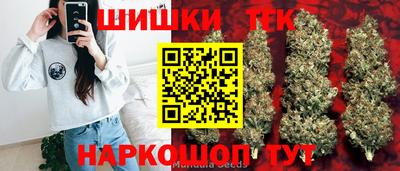индика Гусь-Хрустальный